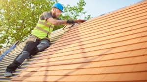 Best Roof Maintenance and Cleaning  in Lake Isabella, CA